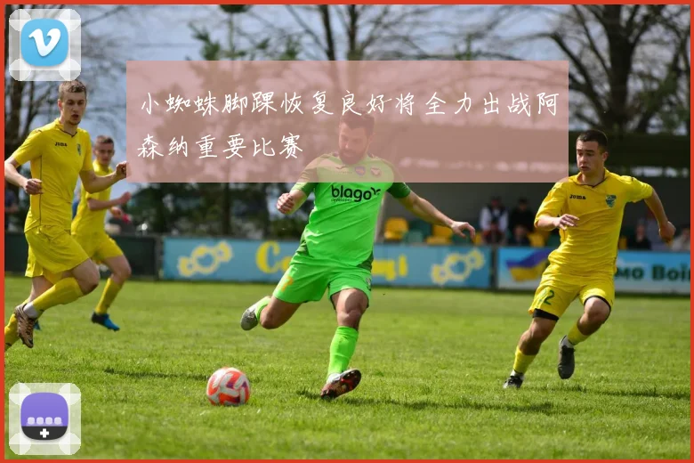 小蜘蛛脚踝恢复良好将全力出战阿森纳重要比赛