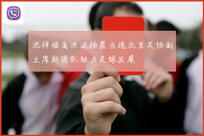 沈祥福高洪波杨晨当选北京足协副主席新团队助力足球发展