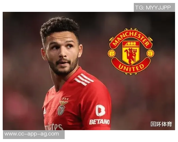 凯恩解约金条款曝光6500万欧元仅可在冬窗激活